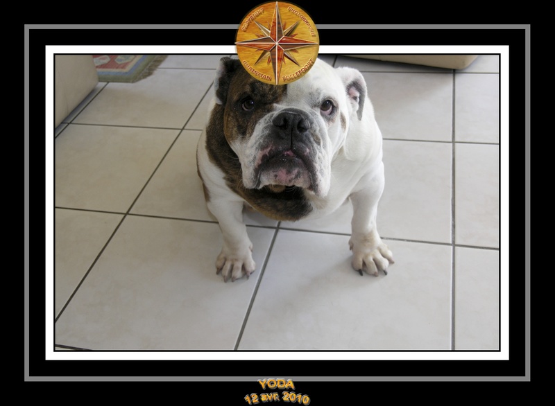 Yoda 2010 Seance photo maison 025