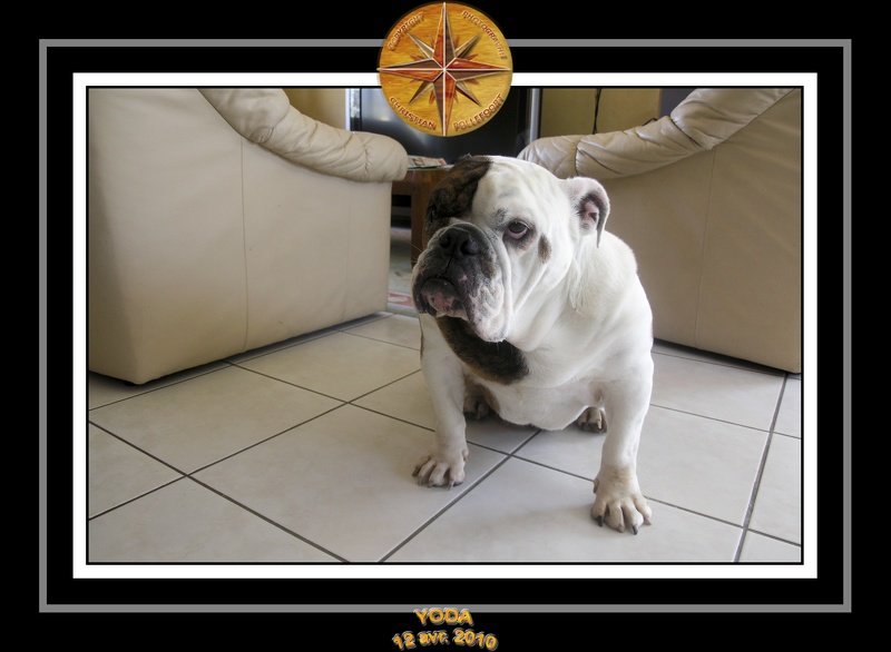 Yoda 2010 Seance photo maison 028