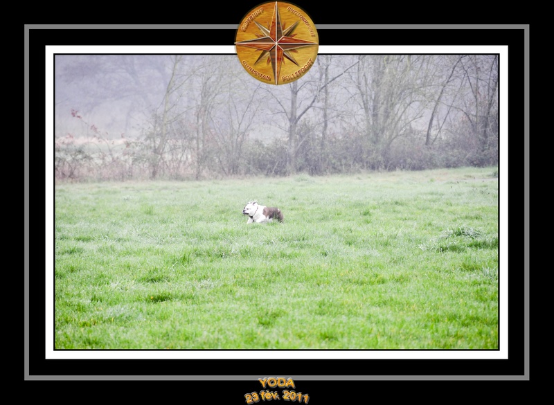 Derniere serie en promenade 001