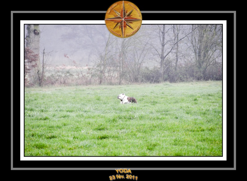 Derniere serie en promenade 002