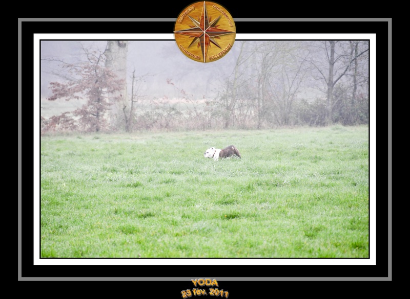 Derniere serie en promenade 003