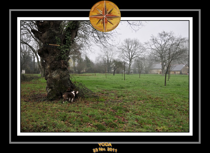 Derniere serie en promenade 008