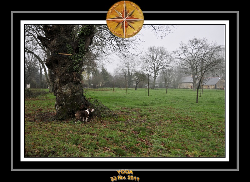 Derniere serie en promenade 009