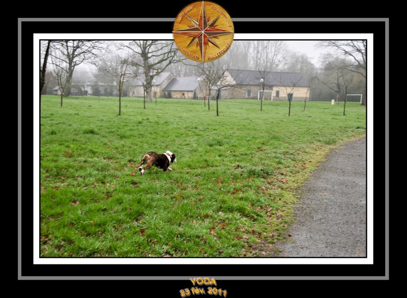 Derniere serie en promenade 010