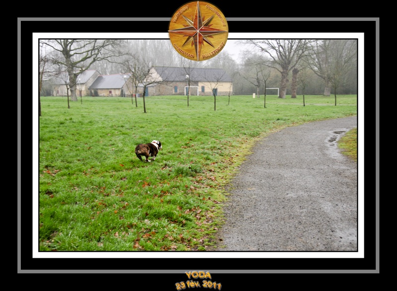 Derniere serie en promenade 011