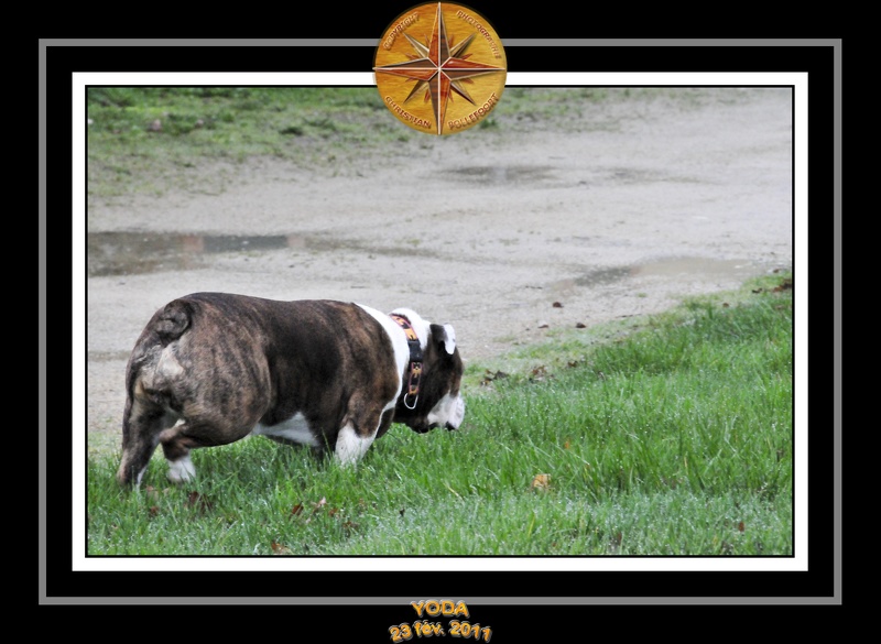 Derniere serie en promenade 018