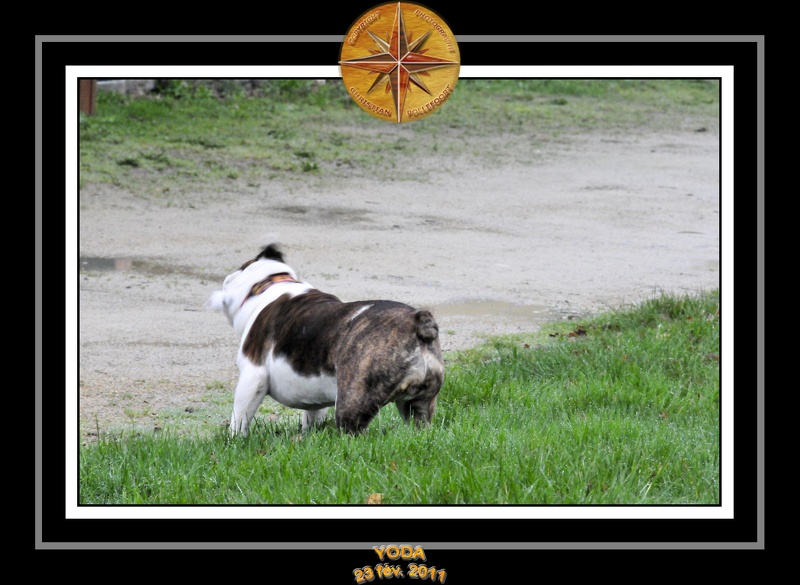 Derniere serie en promenade 019