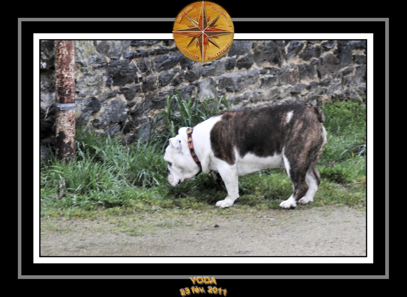 Derniere serie en promenade 020