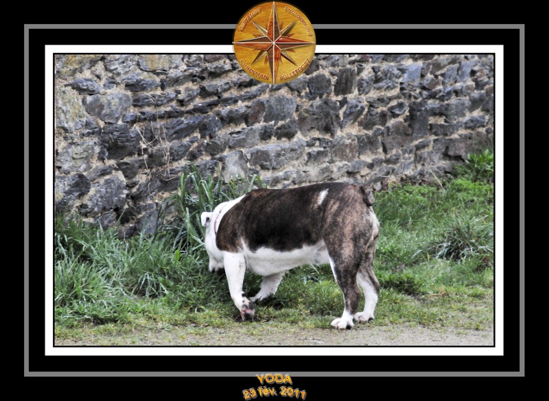 Derniere serie en promenade 021