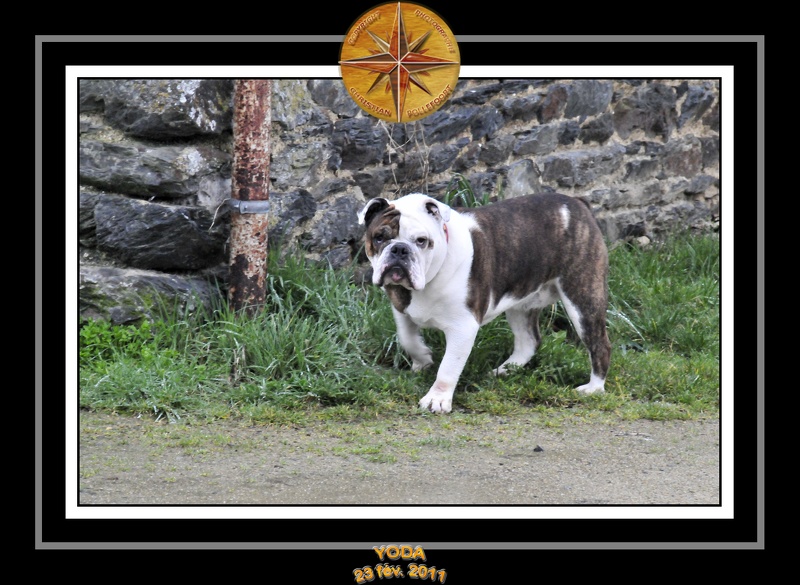Derniere serie en promenade 022