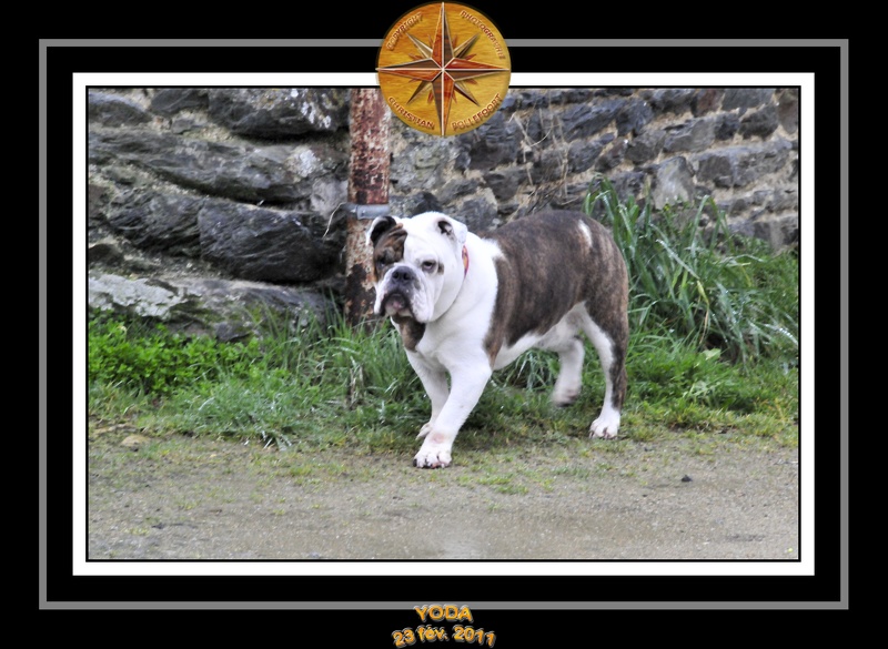 Derniere serie en promenade 023
