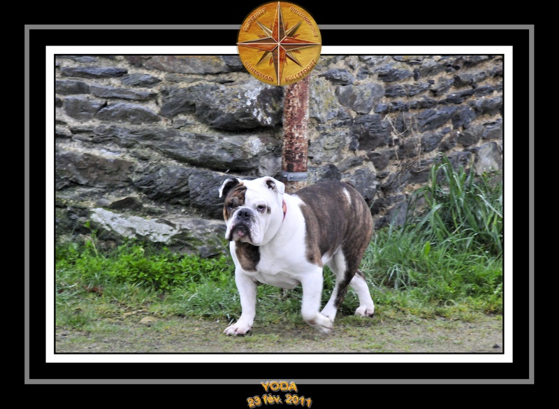 Derniere serie en promenade 024