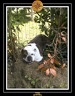 LA DERNIERE PHOTO 001