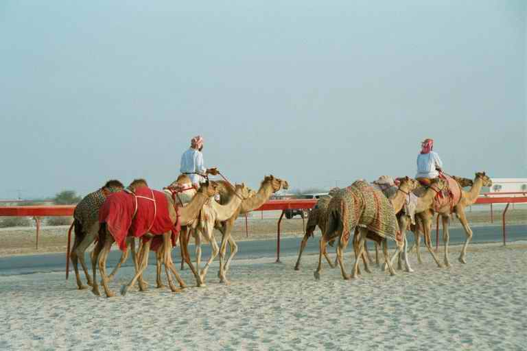 2001 qatar 052