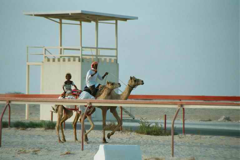 2001 qatar 053