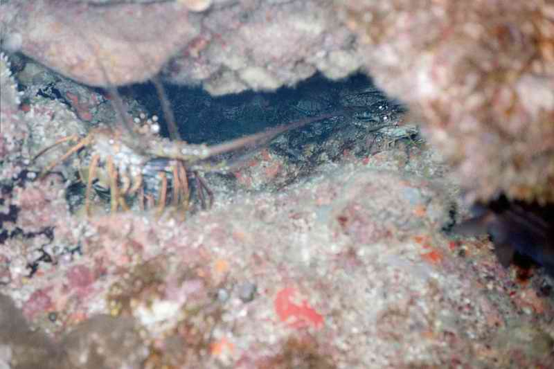2002 guadeloupe 017