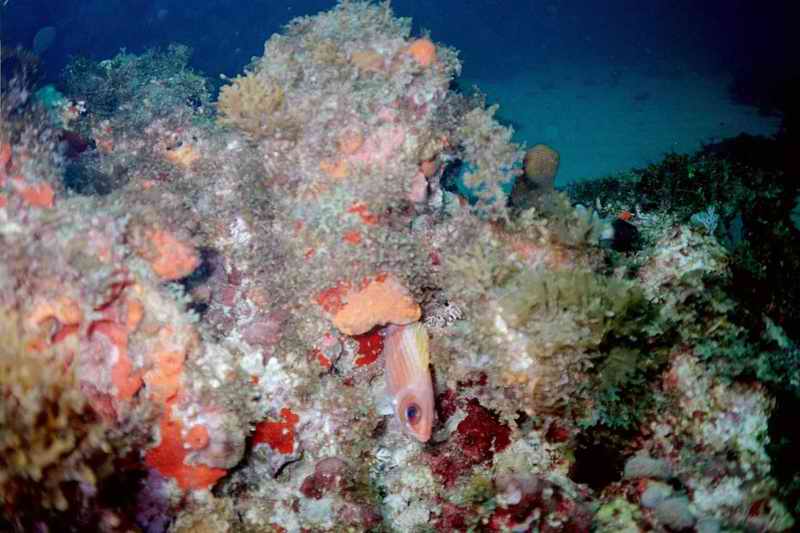 2002 guadeloupe 020