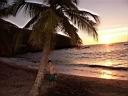 tn martinique 2002 093