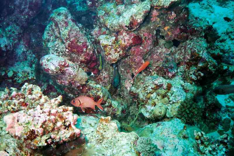 2003 maldives 012
