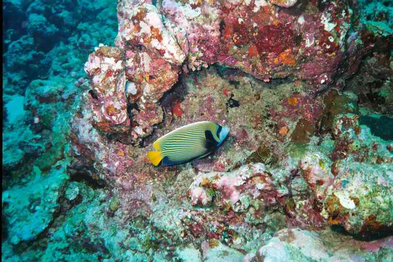 2003 maldives 018