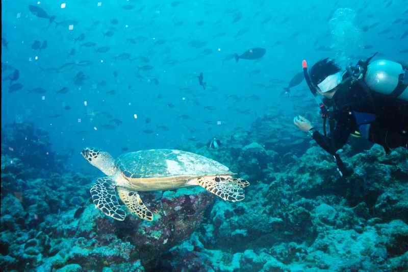 2003 maldives 020