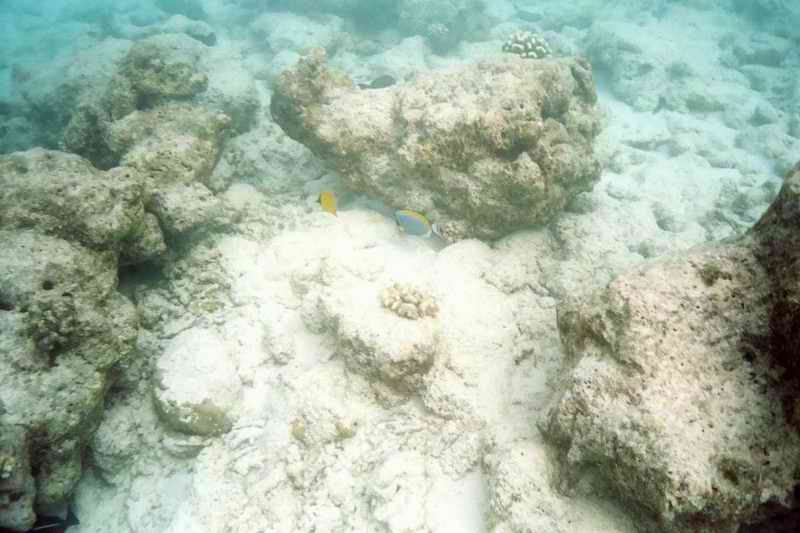 2003 maldives 026