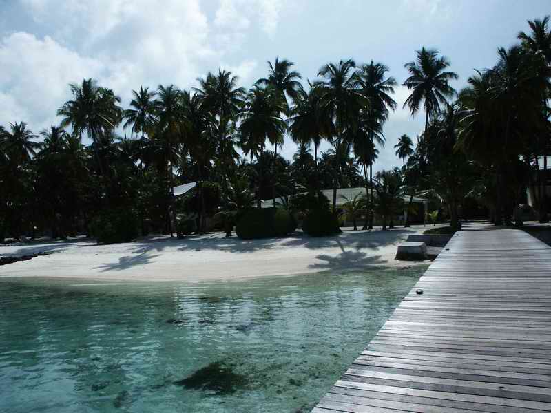 2003_maldives_033.jpg