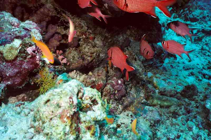 2003 maldives 038