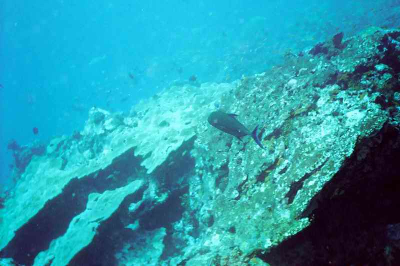 2003 maldives 042