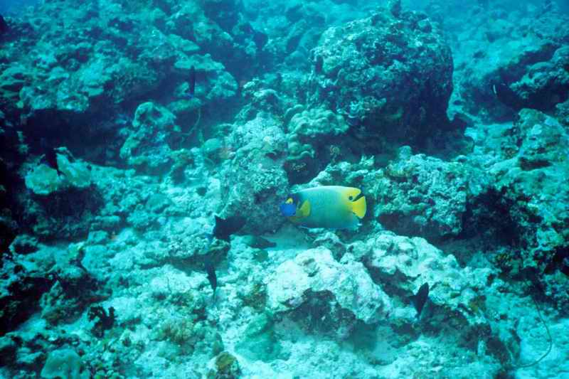 2003 maldives 046