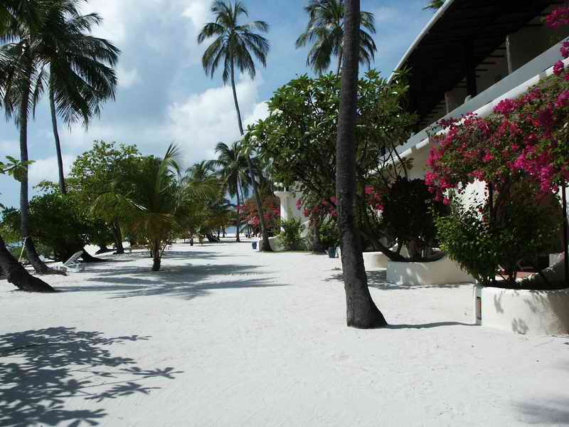 2003_maldives_098.jpg