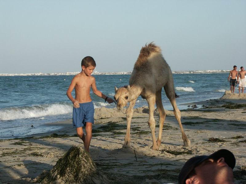 2003_tunisie_033.jpg