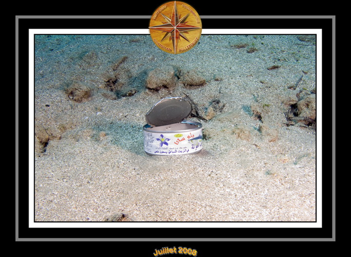 2008 egypte el qoseir 042