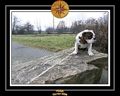 Yoda 2006 Ballade a La Motte 018